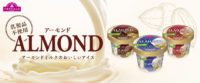 イオン／乳製品不使用「トップバリュ アーモンドアイス」